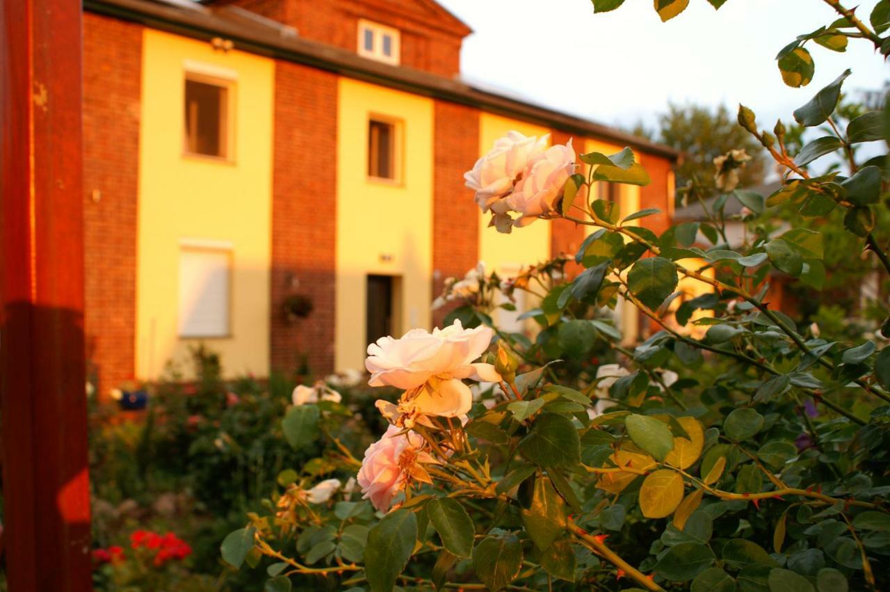 Ferienwohnungen Amselweg Brandenburg (Brandenburg an der Havel) Exterior foto